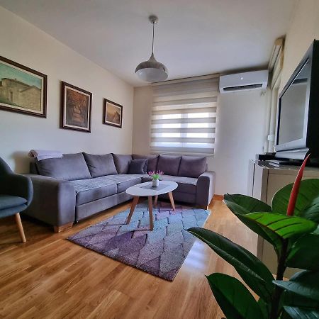 Riverside Apartment ポドゴリツァ エクステリア 写真