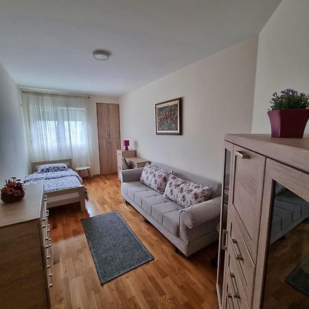 Riverside Apartment ポドゴリツァ エクステリア 写真