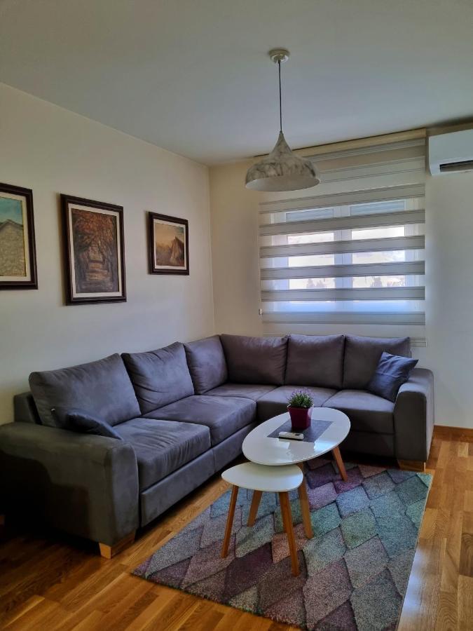 Riverside Apartment ポドゴリツァ エクステリア 写真