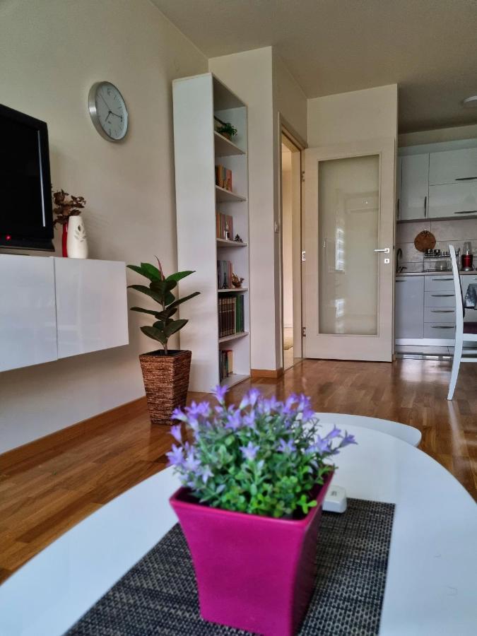 Riverside Apartment ポドゴリツァ エクステリア 写真