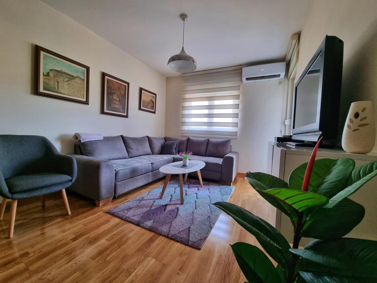 Riverside Apartment ポドゴリツァ エクステリア 写真