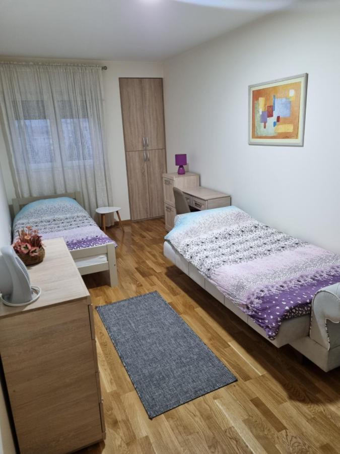 Riverside Apartment ポドゴリツァ エクステリア 写真